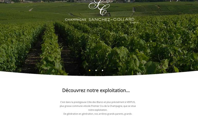 site web Sanchez-Collard