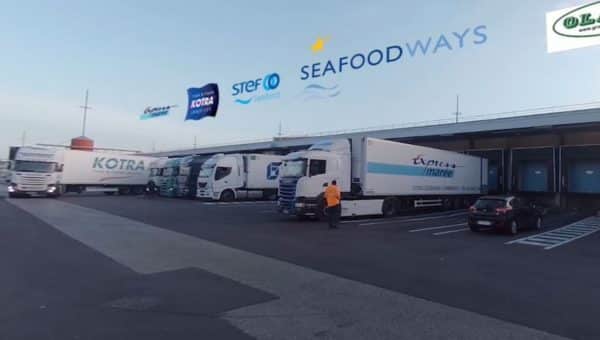 seafood video 360 equinoxes site